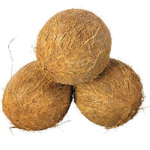 Coconut